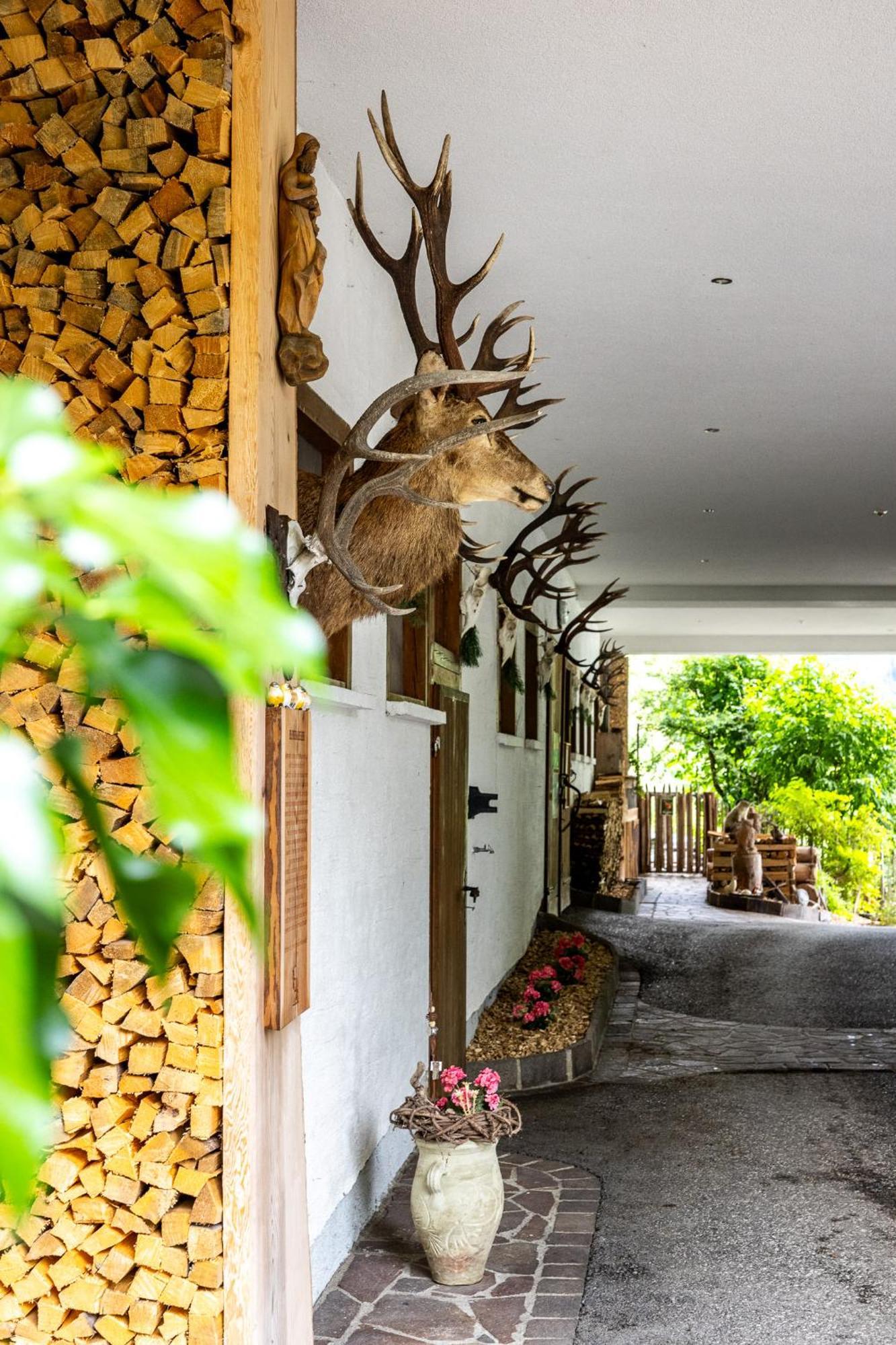 Der Lammhof - Appartements Kaswurm Wagrain Kültér fotó
